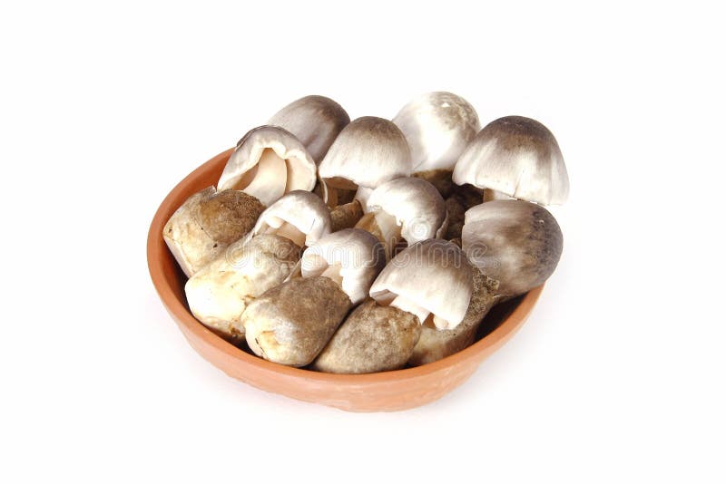Straw mushroom in clay bowl ,isolated royalty free stock images