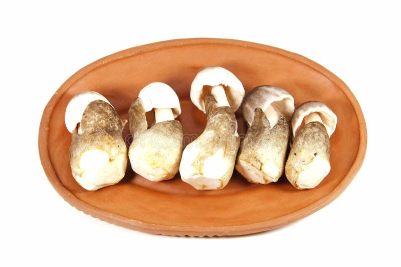 Straw mushroom in clay dish ,isolated royalty free stock photo