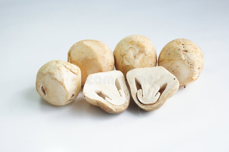 Straw mushroom royalty free stock photo