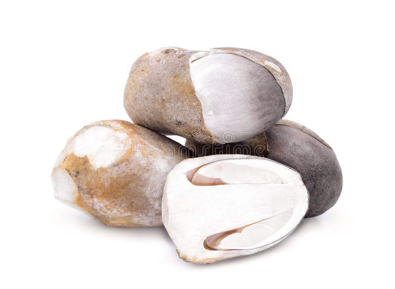 Straw mushroom isolated on white royalty free stock photo