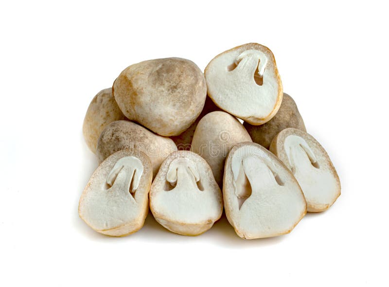 Straw mushroom isolated on white background stock photo
