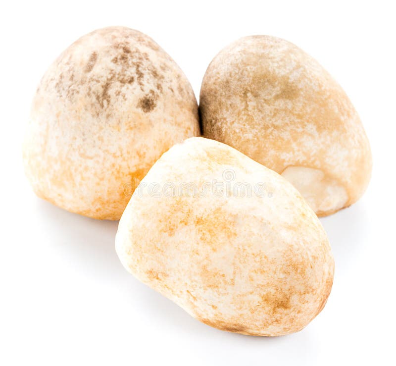 Straw mushroom stock photo