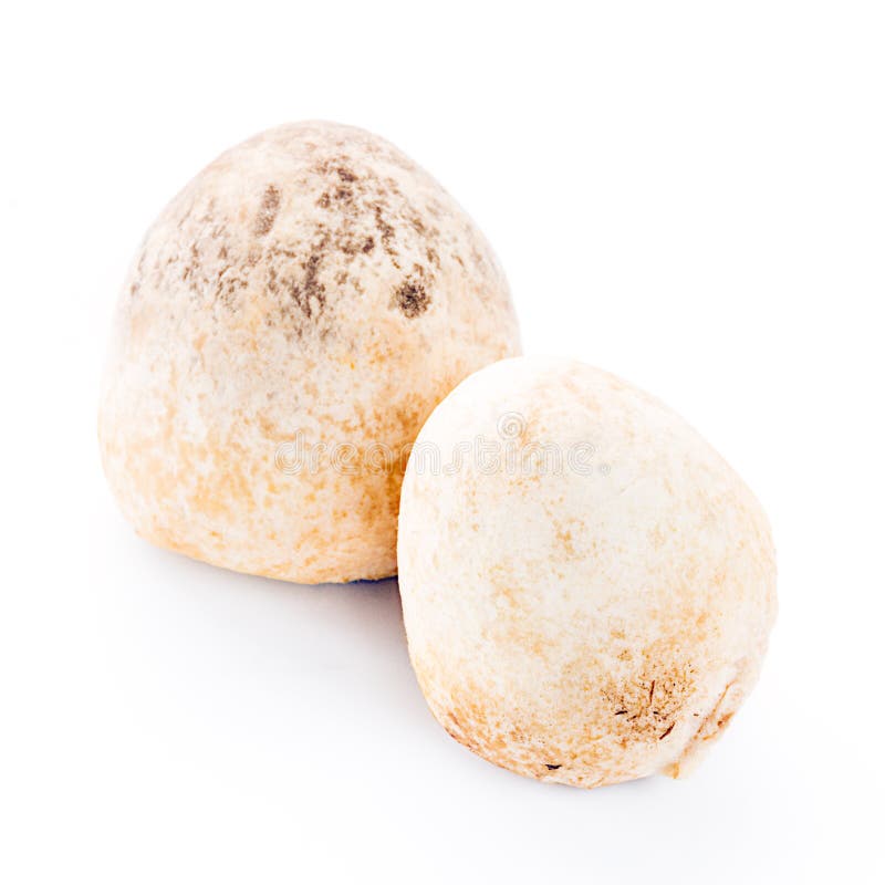Straw mushroom royalty free stock photography