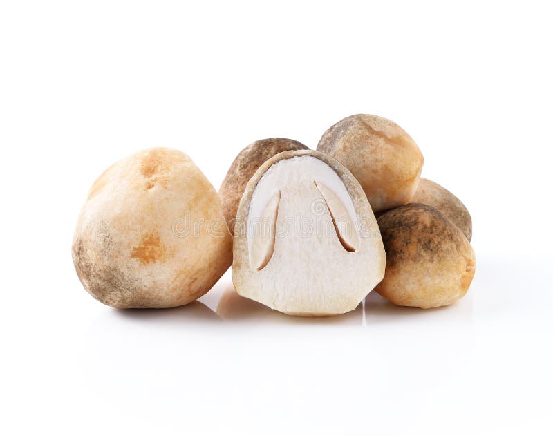Straw mushroom stock photography