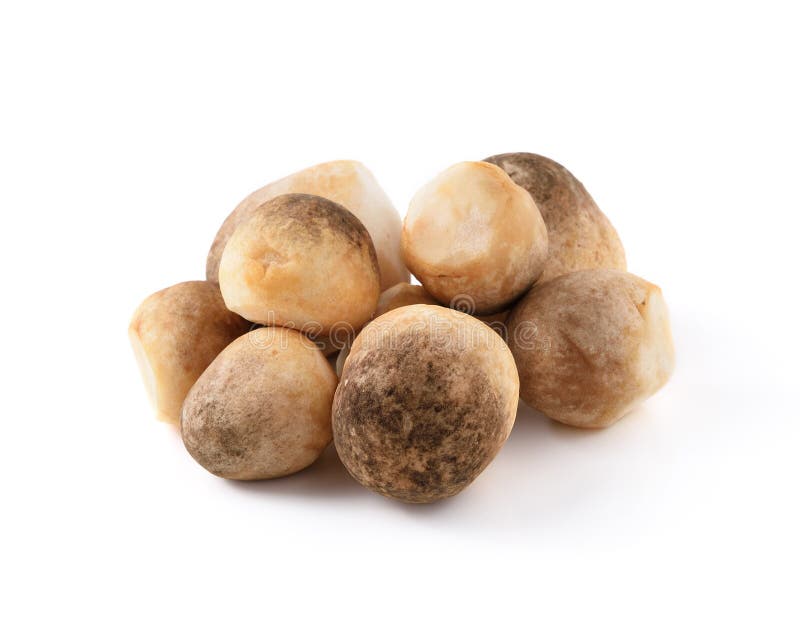 Straw mushroom stock photography