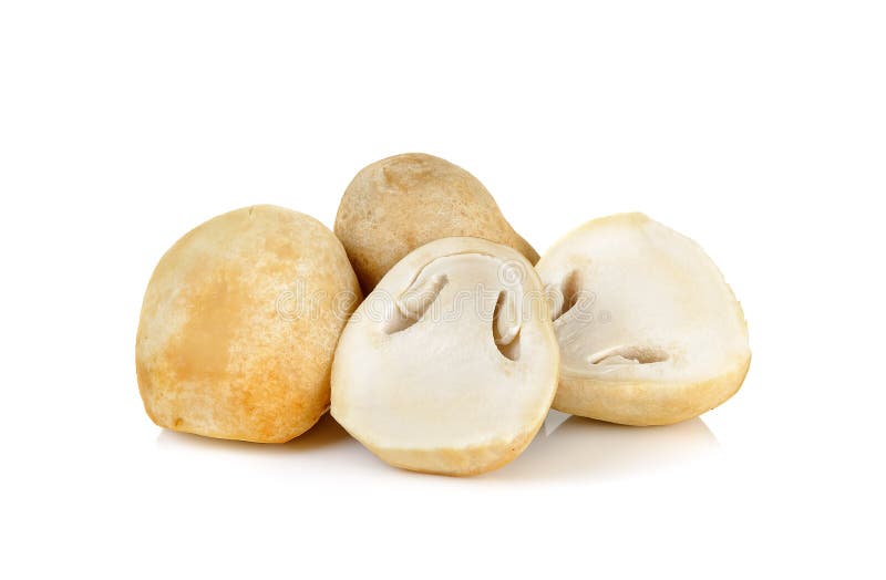 Straw mushroom isolated on white background stock images