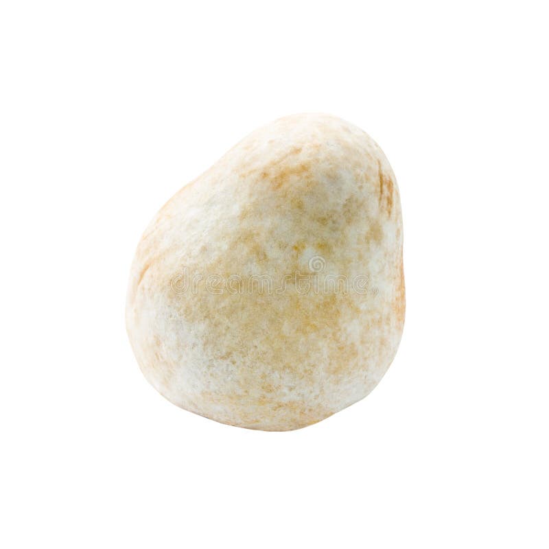 Straw mushroom isolated on white stock image