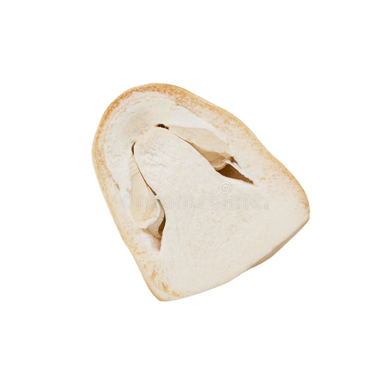 Straw mushroom isolated on white royalty free stock images