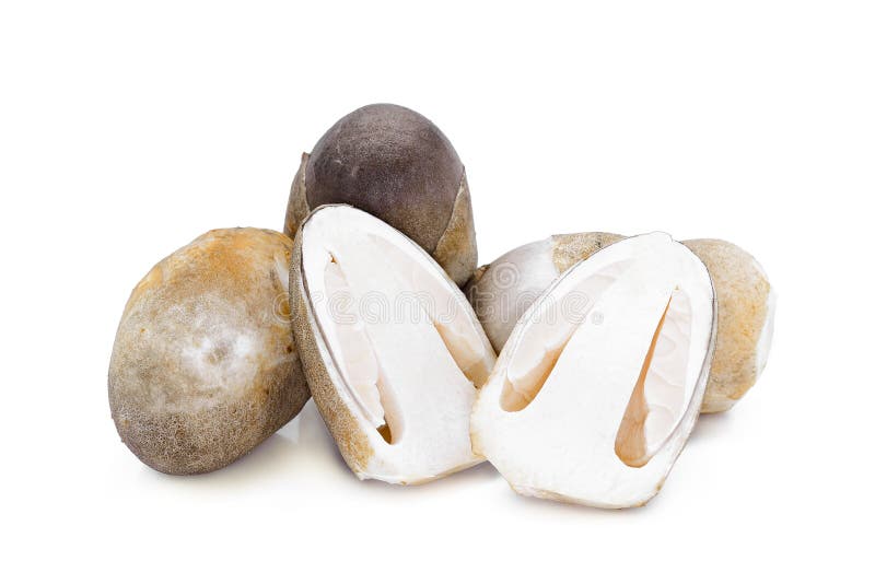 Straw mushroom isolated on white stock image