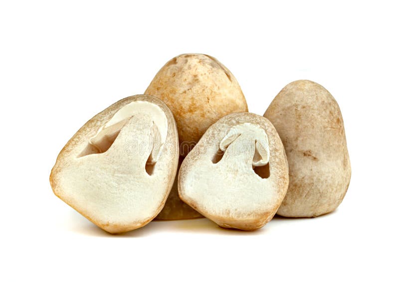 Straw mushroom isolated on white background stock photography