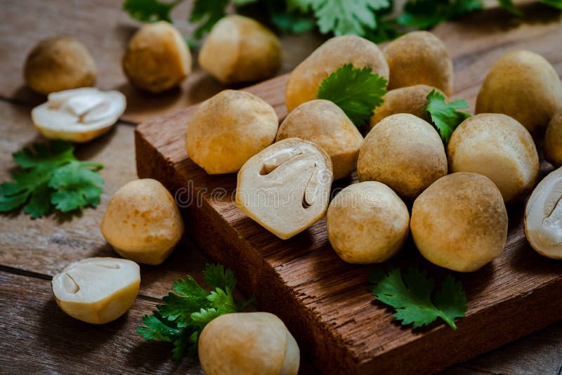 Straw mushroom on wooden board stock photos