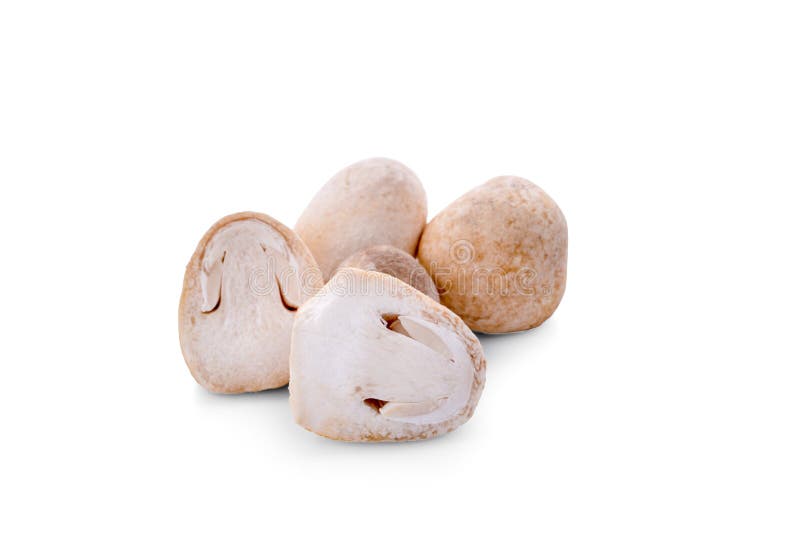 Straw mushrooms isolated on white background . stock image Straw mushrooms isolated on white background . stock image