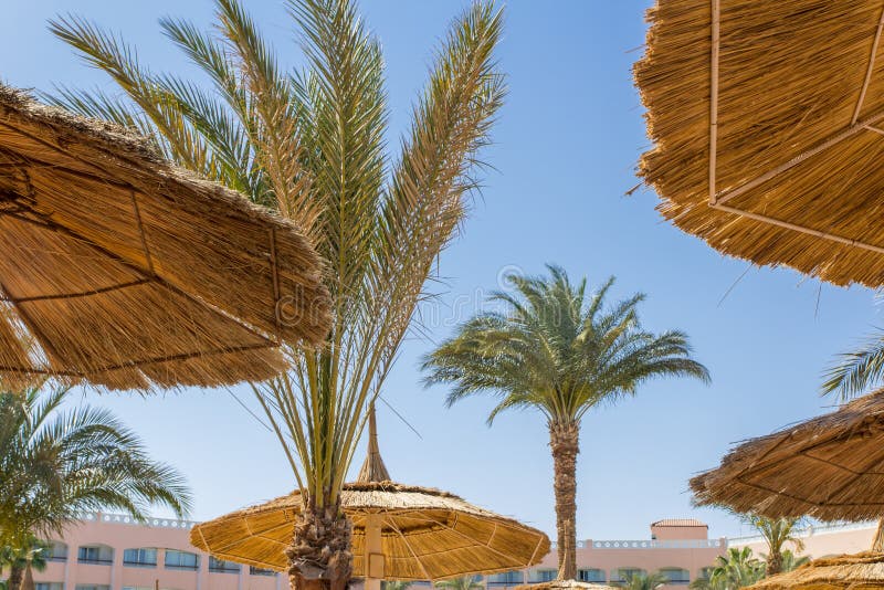 Straw Umbrellas on the Beach Stock Image Image of water, cloud 59273417