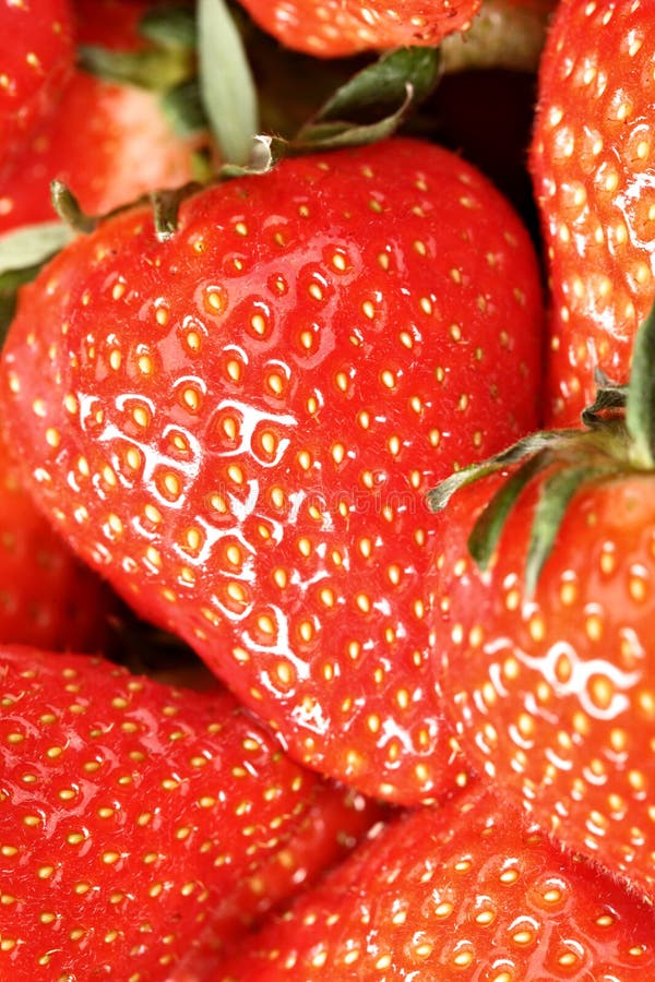 Strawberries stock photo. Image of juice, close, background 14310166