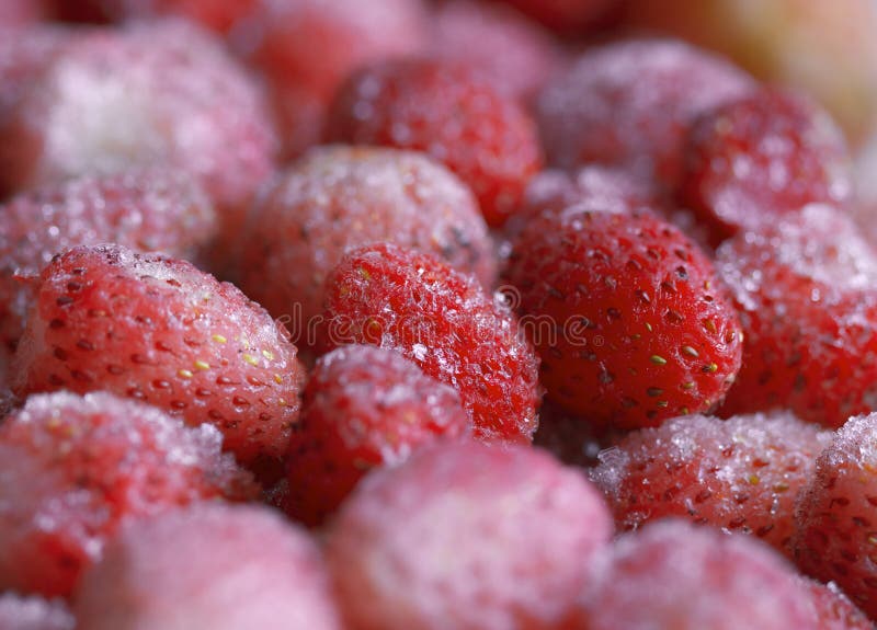 Strawberries. royalty free stock image