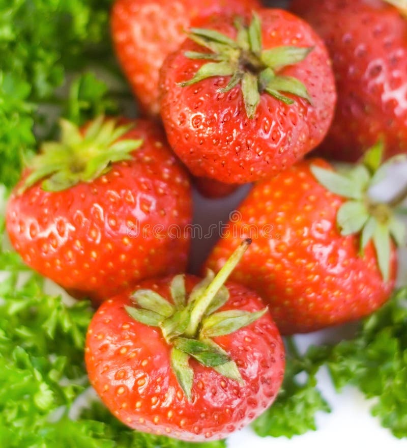 Strawberries Background Picture. Image 6580141
