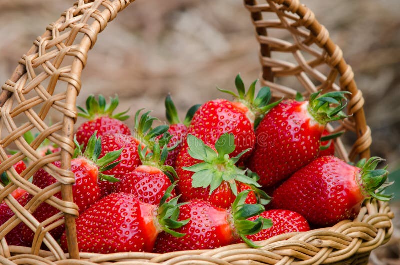 Strawberries stock photography Strawberries stock photography