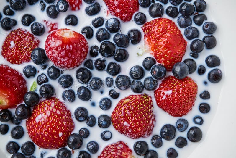 Strawberries, Blueberries and Milk in a White Bowl Stock Photo Image