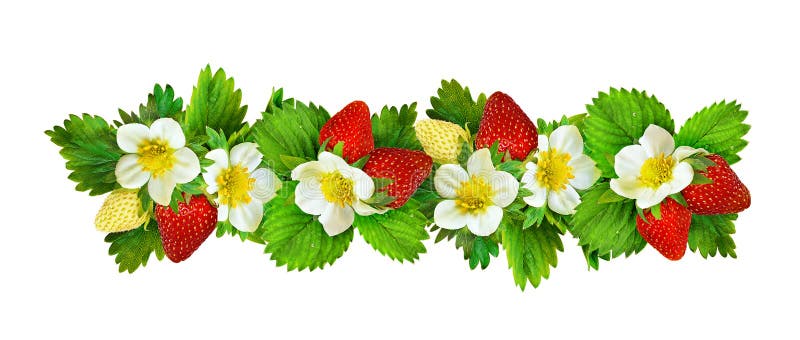 Strawberries border with flowers, berries and leaves