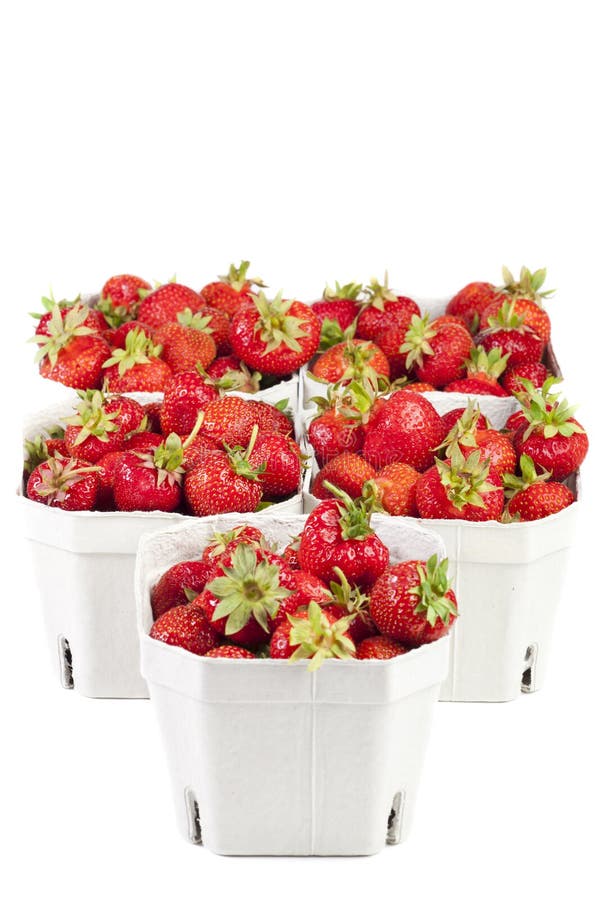 Strawberries in Cardboard Boxes Stock Photo Image of berry