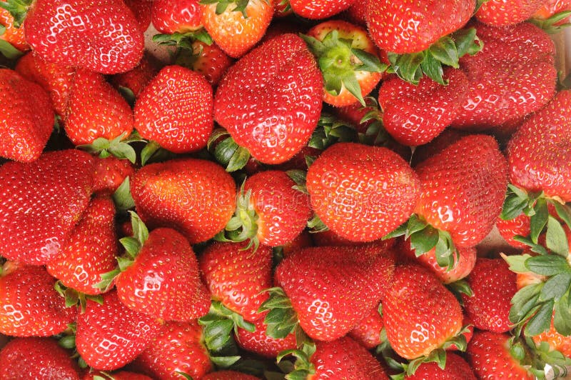 Strawberries in closeup stock photo. Image of diet, macro 13737668