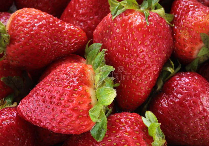Strawberries close up stock image. Image of market, agriculture 43978707