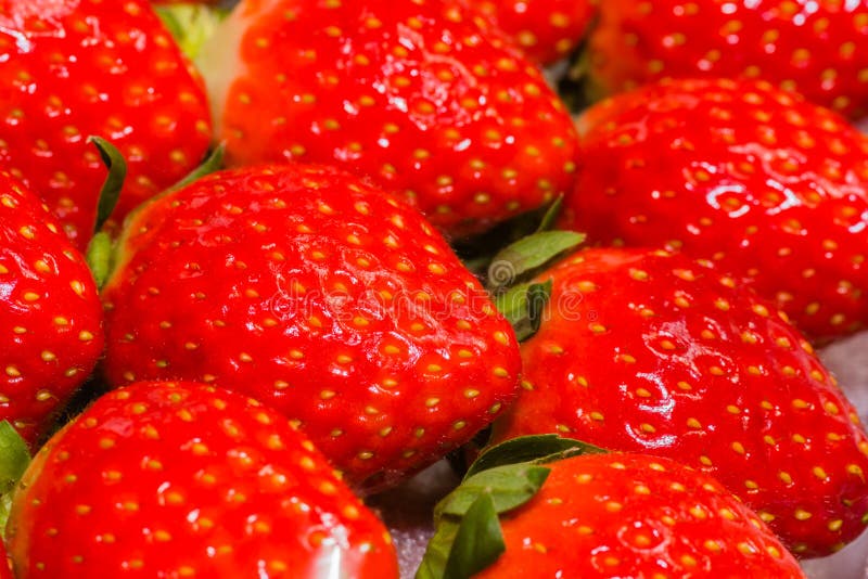 Strawberries in Container Wrapped in Plastic Stock Photo Image of