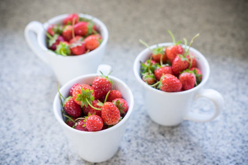 Strawberries in Cups stock photo. Image of organic, coffee 83168606