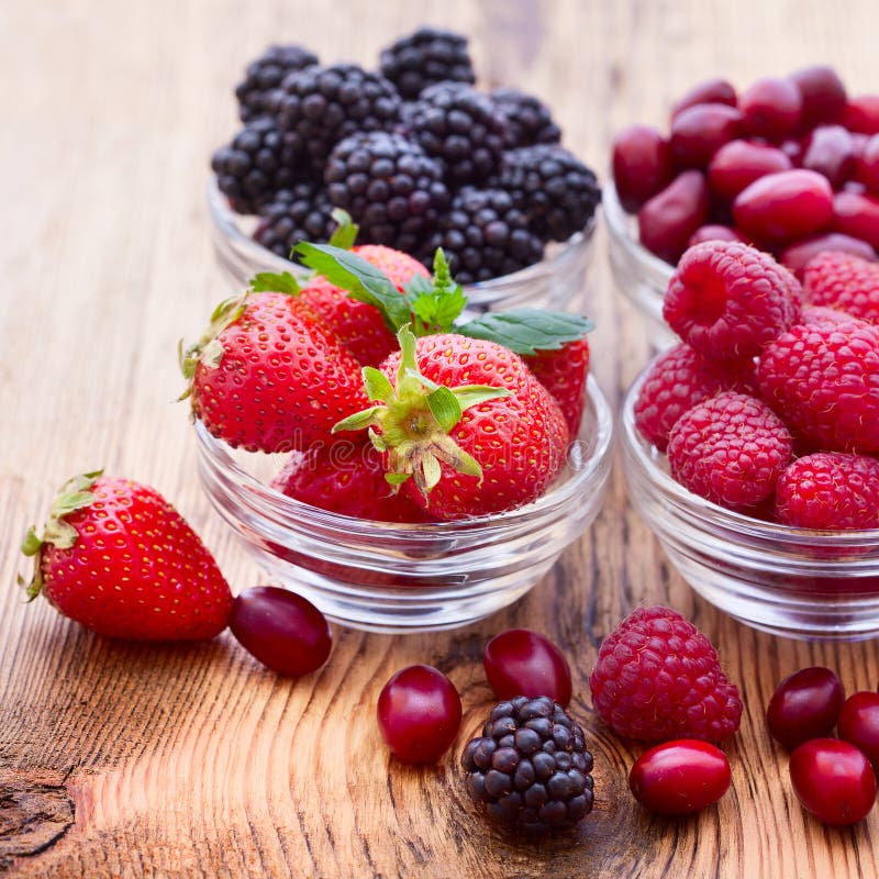 Strawberries, Dogwood, Blackberries and Stock Photo - Image of ...