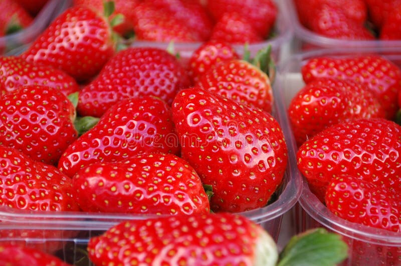 Strawberries fruit in boxes