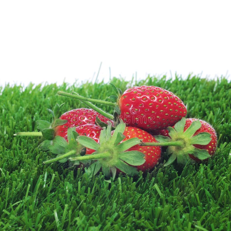 Strawberries on the grass stock image. Image of dessert 25051785