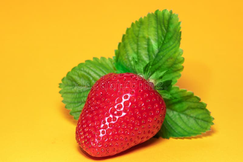 Strawberries with Leaves. on a Yellow Background Stock Image Image of