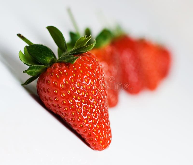Strawberries in a line royalty free stock image