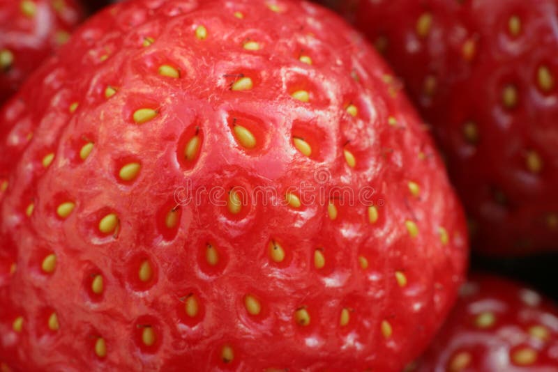 Strawberries macro