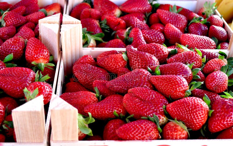 Strawberries on the market stock photo. Image of nature 89907468