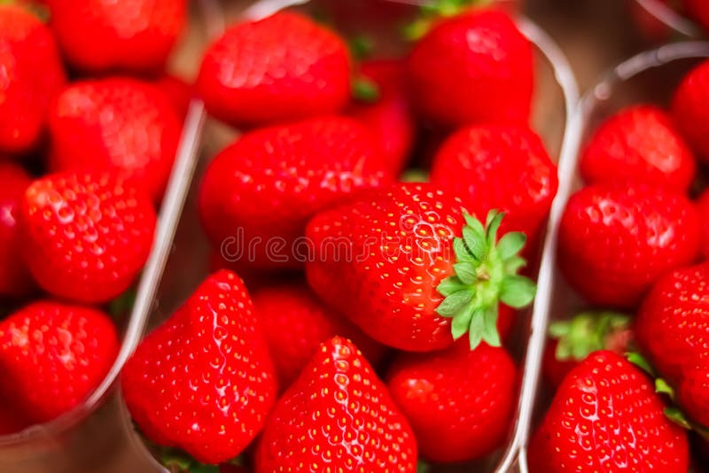 Strawberries Packaged in Box, Sweet Ripe Perfect Strawberry Harvest ...