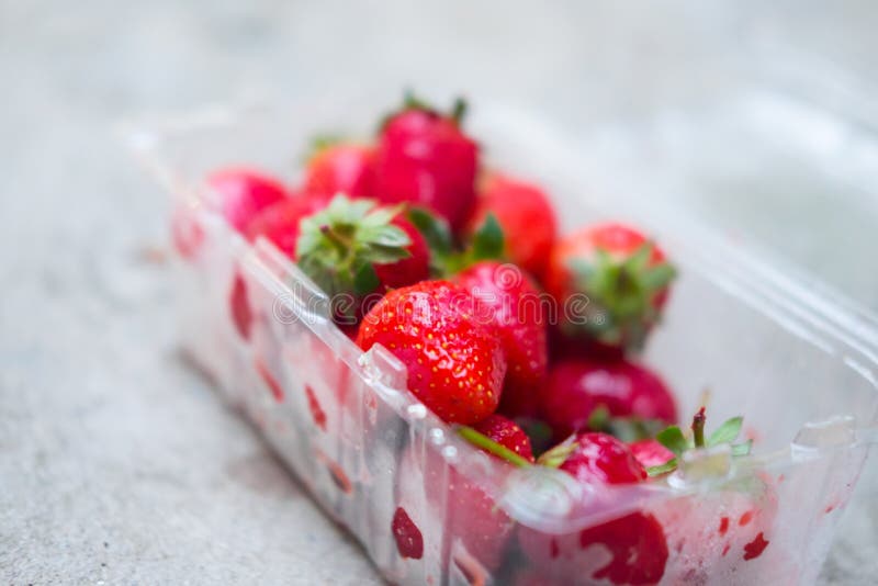 Strawberries are Placed on Plastic Package Stock Photo Image of grown