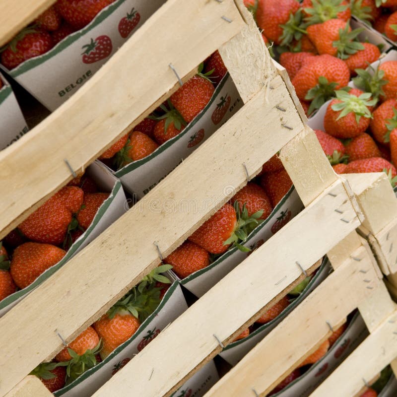Strawberries Ready for Sale Stock Image Image of farmer, deiting 2345309