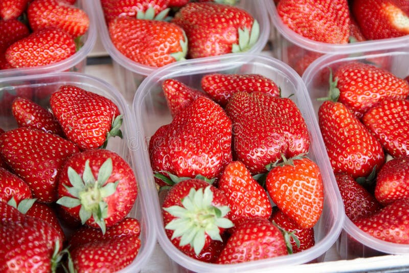 Strawberries for sale stock image. Image of fresh, food 20793315