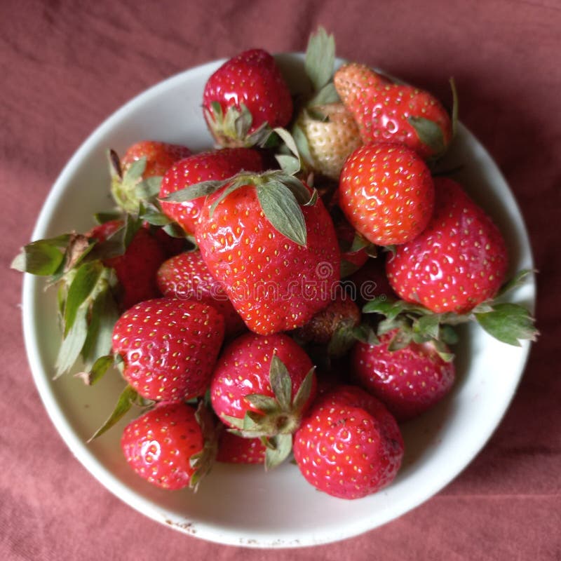 Strawberries are a Source of the Essential Nutrient Vitamin C Which