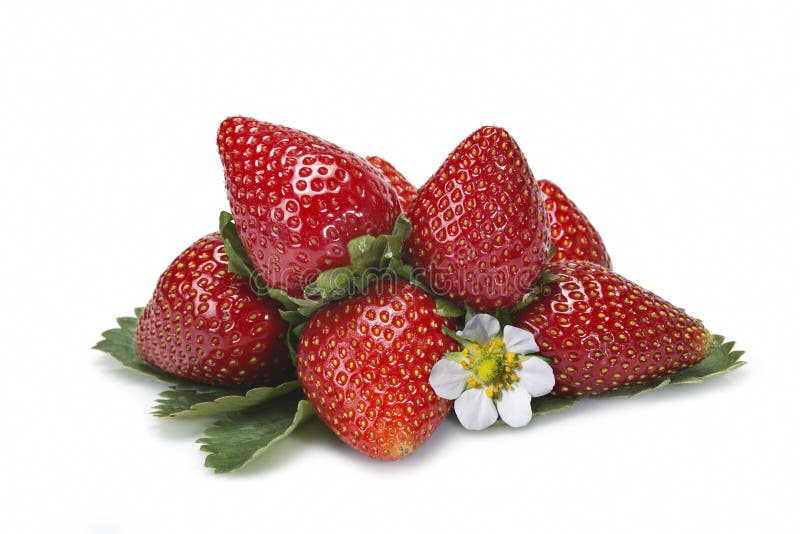 Strawberries and their leaves and flower.