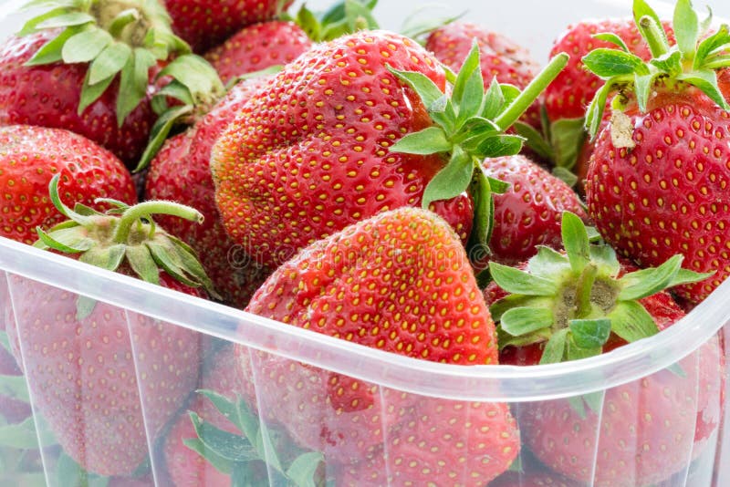 Strawberries in Transparent Plastic Retail Package. Stock Image - Image ...