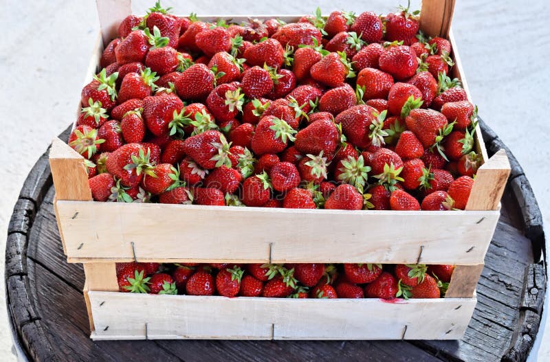 Strawberries in Wooden Boxes Stock Photo Image of crate, berry 95431660
