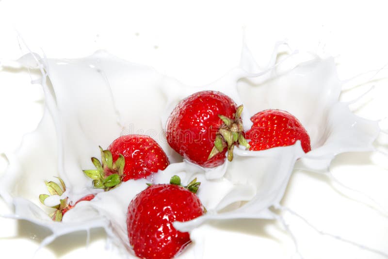 Strawberry royalty free stock photography