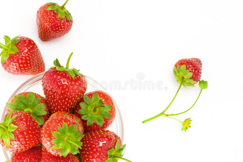 Strawberry stock image