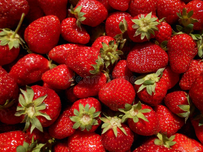 Strawberry background, close up view