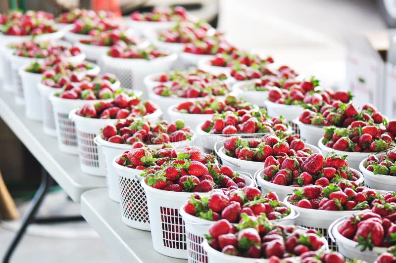 Strawberry Baskets