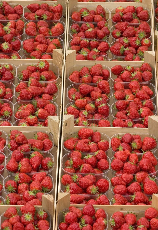 Strawberry baskets