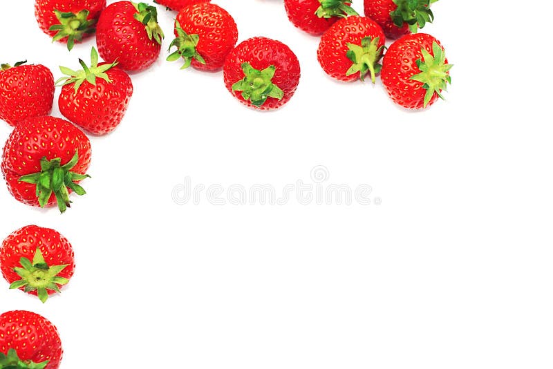 Strawberry Border