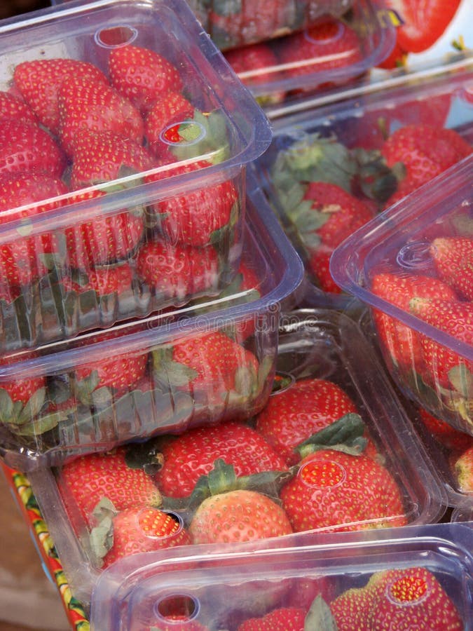 Strawberry boxes stock photo. Image of season, organic 31322390